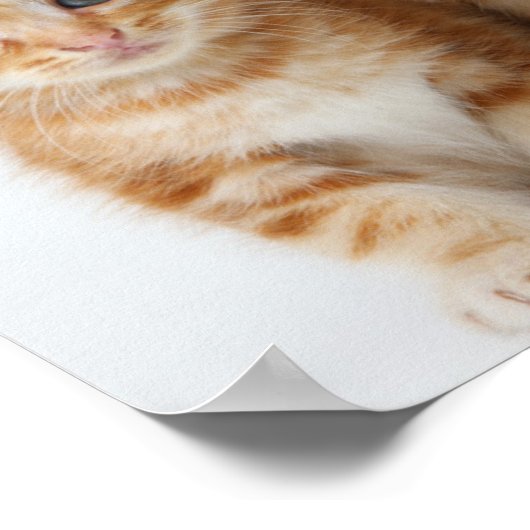 かわいい子猫たち2匹 ポスター (角)