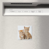 かわいい子猫たち2匹 マグネット (インサイチュ (食洗機))