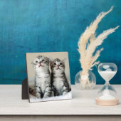 かわいい子猫たち2 フォトプラーク (インサイチュ)