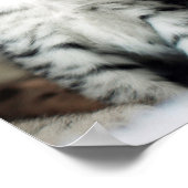 かわいい子猫たち2 ポスター (角)