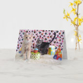 かわいい子猫たち – 猫/子猫誕生日カード カード (黄色い花)