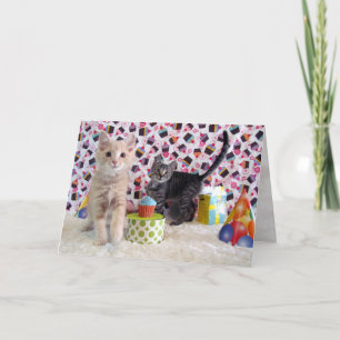 かわいい子猫たち – 猫/子猫誕生日カード カード