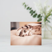 かわいい子猫とポーオーバー顔 ポストカード (スタンド正面)