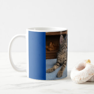 かわいい子猫とマグカップ コーヒーマグカップ