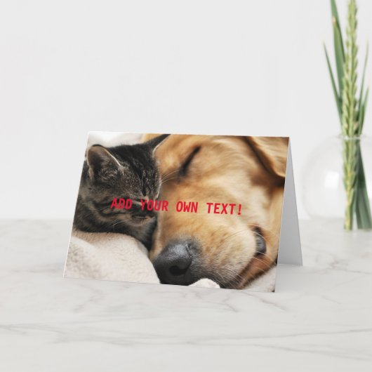 かわいい子猫と子犬　ここにあなただけのメッセージを カード (正面)