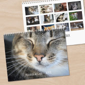 かわいい子猫と猫のペット写真 カレンダー