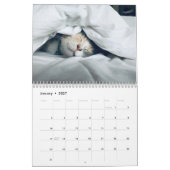 かわいい子猫と猫のペット写真 カレンダー (1月 2027)