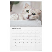 かわいい子猫と猫のペット写真 カレンダー (2月 2027)