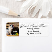 かわいい子猫と花の差出人住所 ラベル (インサイチュ)