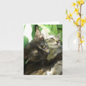かわいい子猫のくっつきあい 誕生日カード カード (黄色い花)
