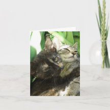 かわいい子猫のくっつきあい 誕生日カード