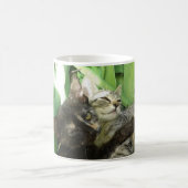 かわいい子猫のくっつき コーヒーマグカップ (中央)