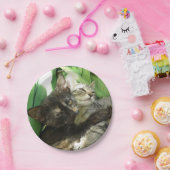 かわいい子猫のくっつき ペーパープレート (パーティー)