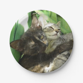 かわいい子猫のくっつき ペーパープレート
