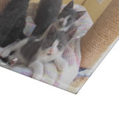 かわいい子猫のカッティングボード カッティングボード (角)