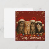 かわいい子猫のクリスマスカード シーズンカード (正面/裏面)