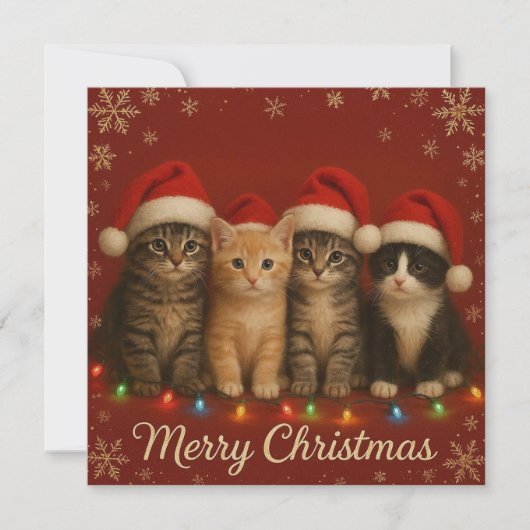 かわいい子猫のクリスマスカード シーズンカード (正面)