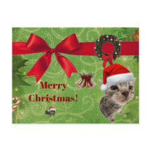 かわいい子猫のクリスマスカード