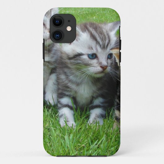 かわいい子猫のグループ Case-Mate iPhoneケース (裏面)