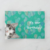 かわいい子猫のバースデーカード お誕生日おめでとう カード (内部)