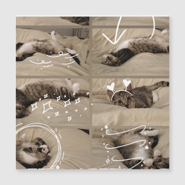 かわいい子猫のポストカード (正面)