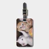 かわいい子猫のラゲッジタグ ラゲッジタグ (正面縦)