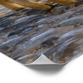 かわいい子猫の友達が同じ道を歩く写真 –  ポスター (角)