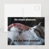 かわいい子猫の名言 シンプルな喜び カスタマイズ可能 ポストカード (正面/裏面)