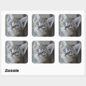 かわいい子猫の庭 スクエアシール (シート)