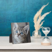 かわいい子猫の庭 フォトプラーク (インサイチュ)