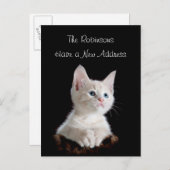 かわいい子猫の新しい住所 案内ポストカード (正面/裏面)