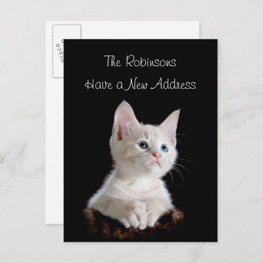 かわいい子猫の新しい住所 案内ポストカード (正面/裏面)