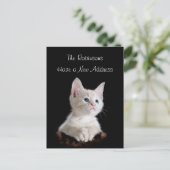 かわいい子猫の新しい住所 案内ポストカード (スタンド正面)