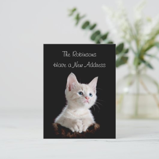 かわいい子猫の新しい住所 案内ポストカード (スタンド正面)