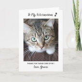 かわいい子猫の獣医ペットケア猫ペットの写真 サンキューカード (正面)
