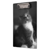 かわいい子猫の白黒ポートレート写真 クリップボード (左)