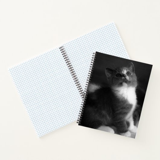 かわいい子猫の白黒ポートレート写真 ノートブック