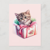 かわいい子猫の箱の誕生日プレゼント ポストカード (正面)