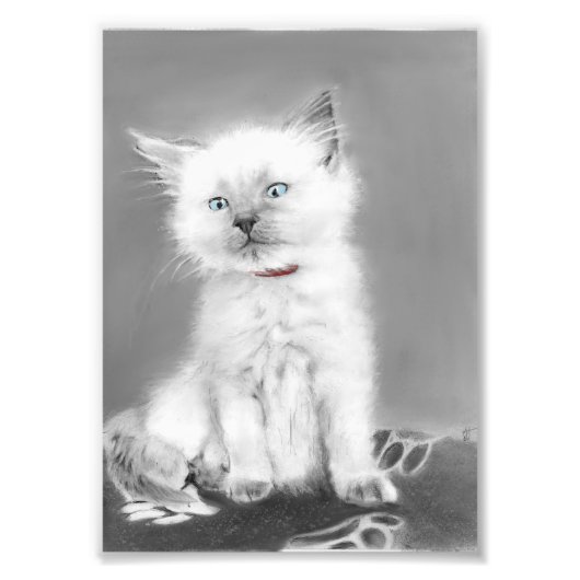かわいい子猫の絵 フォトプリント            (正面)