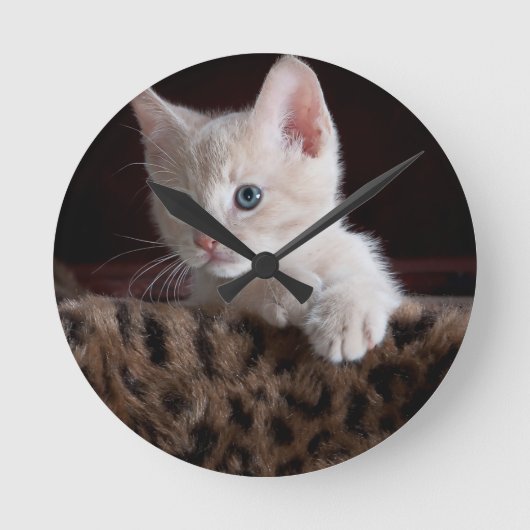 かわいい子猫の表情 ラウンド壁時計 (正面)