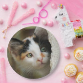 かわいい子猫の詮索好きな目、幸せなパーティー ペーパープレート (パーティー)