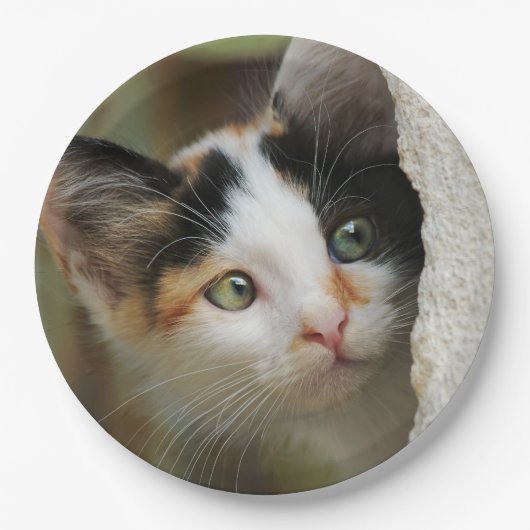 かわいい子猫の詮索好きな目、幸せなパーティー ペーパープレート (正面)