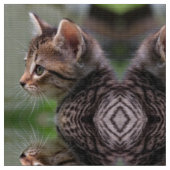 かわいい子猫の鏡面ポリエステルポプリン生地 ファブリック (クローズアップ)