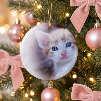 かわいい子猫の1枚の写真 セラミックオーナメント