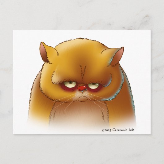 かわいい子猫はがき ポストカード (正面)