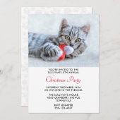 かわいい子猫アカサンタをかむクリスマスパーティー 招待状 (正面/裏面)