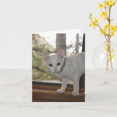 かわいい子猫サンキューカード カード (黄色い花)