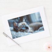 かわいい子猫ステッカー 長方形シール (封筒)