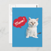 かわいい子猫ニャーキャプション ポストカード (正面/裏面)