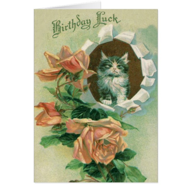 かわいい子猫ネコバラバラ (正面)